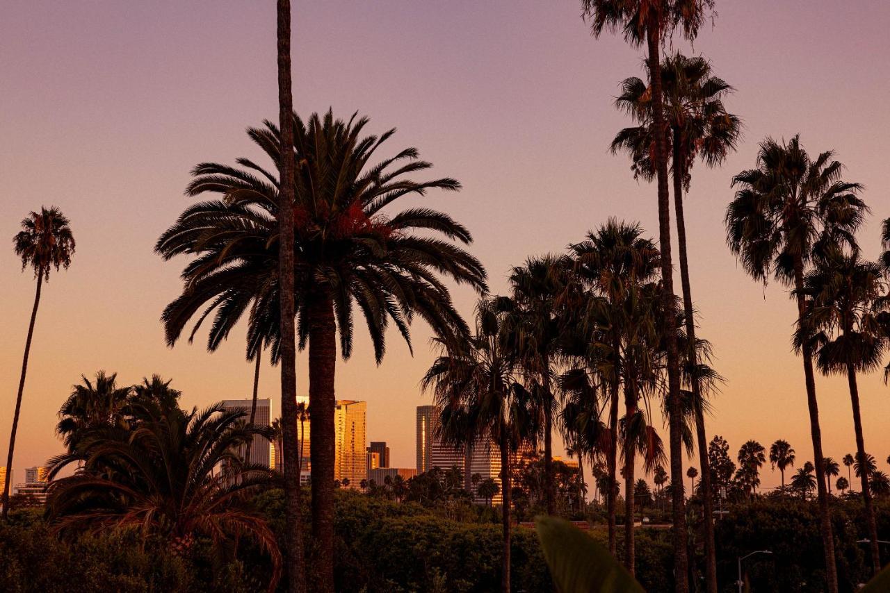 The Beverly Hills - Dorchester Collection Hotel Los Angeles