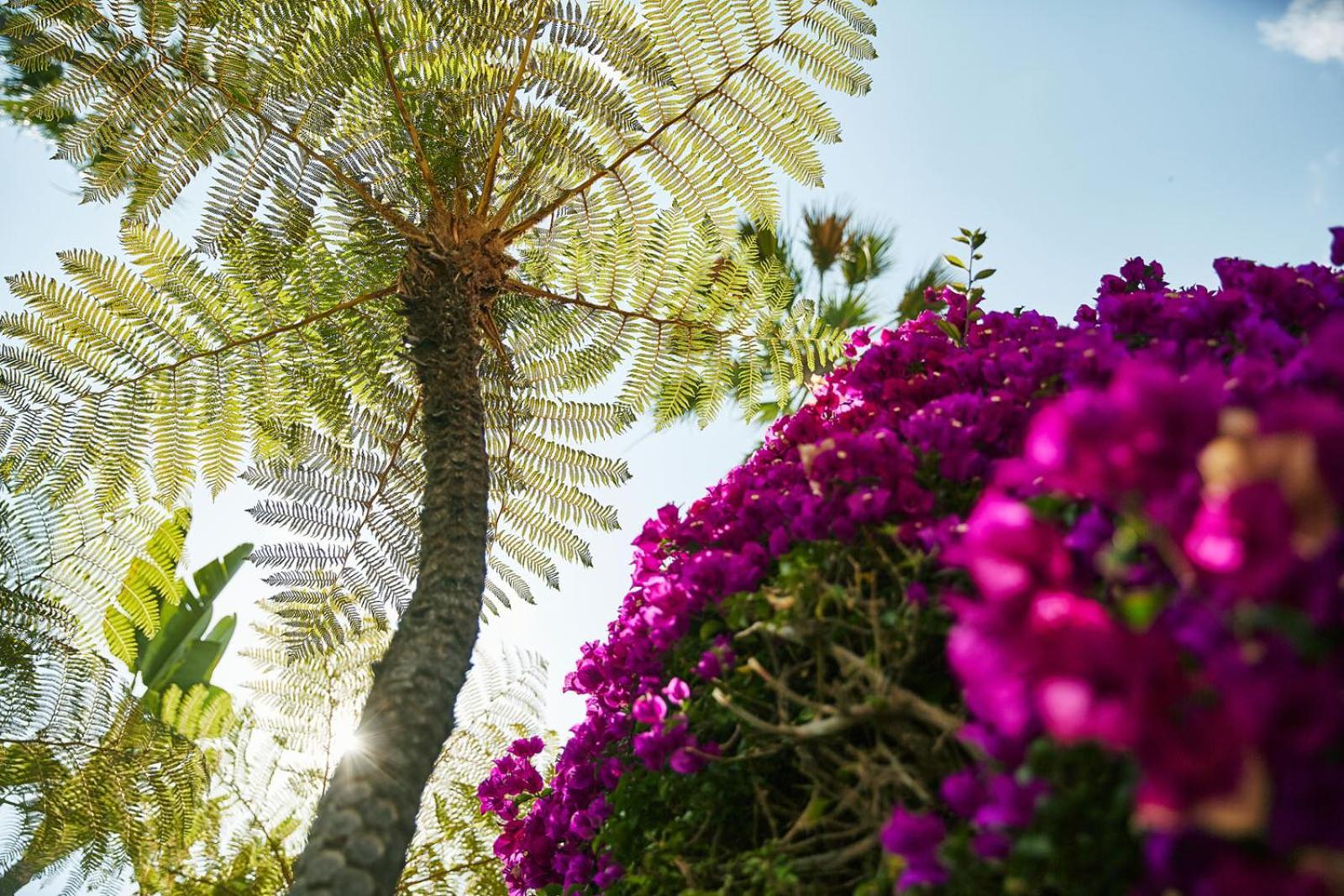 The Beverly Hills - Dorchester Collection